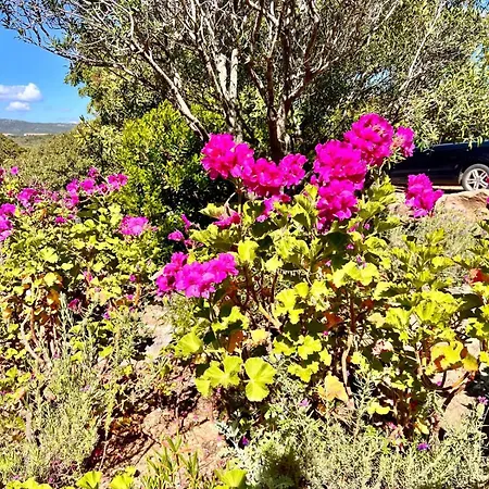 Сasa de vacaciones A Nepita Splendide Vue Avec Piscine *