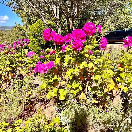 A Nepita Splendide Vue Avec Piscine Сasa de vacaciones