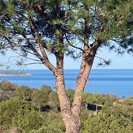 A Nepita Splendide Vue Avec Piscine Сasa de vacaciones Porto Vecchio
